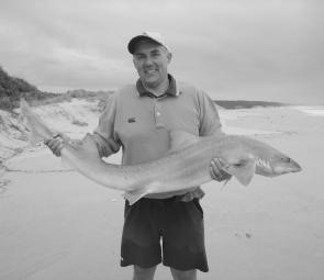 David Manchester with a thumping 20kg gummy shark from the beach. At this size they are formidable opponents from the sand.